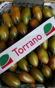 TORRANO F1- frutto invaiato