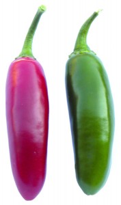 jalapeno